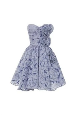 Elisabetta Franchi Feestjurken Party Dresses Gray -Elisabetta Franchi Winkel 019c3c2b7bfb2bf5385f1cf9d6bfe20e