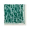 Elisabetta Franchi Sjaals Silky Scarf MIINTO-16d3227930421a7a032d Green