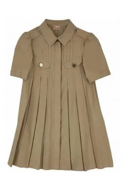 Elisabetta Franchi Jurken Dresses Beige