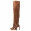 Elisabetta Franchi Laarzen High Boots Brown