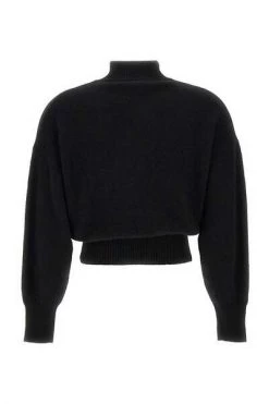 Coltruien Elisabetta Franchi Sweaters Black Black