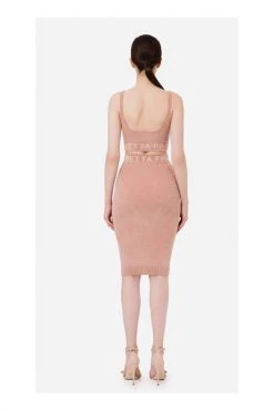 Elisabetta Franchi Kokerrokken Pencil Skirts Pink -Elisabetta Franchi Winkel 0e032f4f72436fba600dfcf7e20241d7