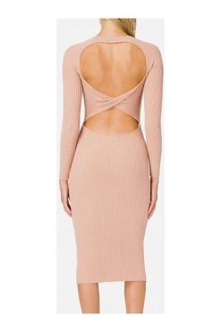 Elisabetta Franchi Casual Jurken JURK Pink