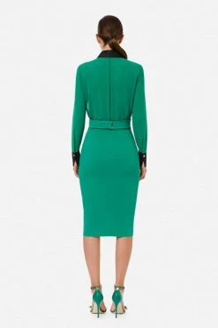 Elisabetta Franchi Midirokken Midi Skirts Green