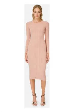 Elisabetta Franchi Casual Jurken JURK Pink 10 Elisabetta Franchi Casual Jurken JURK Pink -Elisabetta Franchi Winkel 17586aec598c35e0bc7352182115e5b6