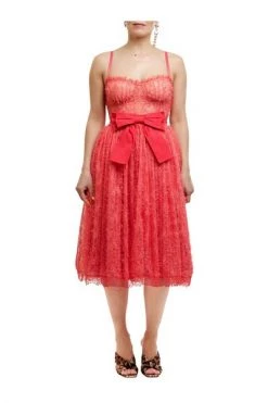 Elisabetta Franchi Casual Jurken Mini Dress In Lace Red -Elisabetta Franchi Winkel 1959931e8b8dc9716ab5b76921313ce3