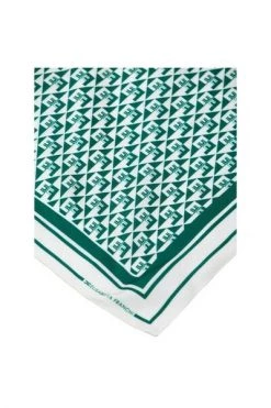 Elisabetta Franchi Sjaals Silky Scarves Blue