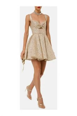 Elisabetta Franchi Feestjurken Party Dresses Beige -Elisabetta Franchi Winkel 1e71b461cc9ee432b061f9404e2b9a2b