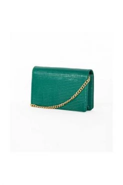 Elisabetta Franchi Schoudertassen Bags Green