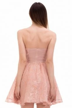 Elisabetta Franchi Jurken Dress Pink