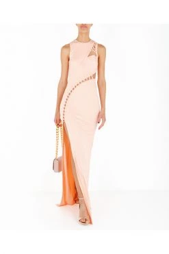 Elisabetta Franchi Maxi Jurken Red Carpet Dress Dimanate With AB14822E2 Opening Pink -Elisabetta Franchi Winkel 25063eeaf6ac46eae8cc5c050ac76aa9