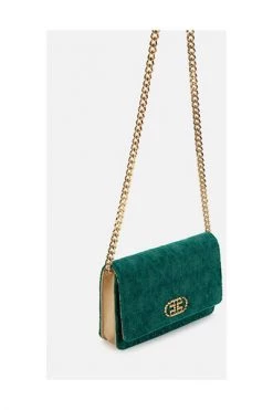 Elisabetta Franchi Clutches Green