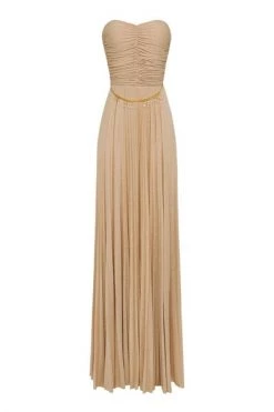 Elisabetta Franchi Maxi Jurken Dress Brown
