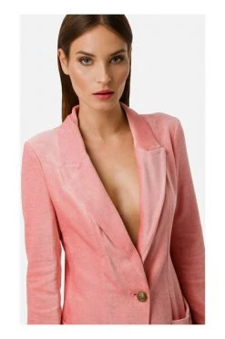 Elisabetta Franchi Blazers Blazer Jacket Pink -Elisabetta Franchi Winkel 3c208d2af4ee9fff2a166d718bc6ed97