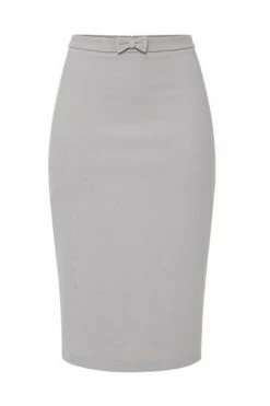 Elisabetta Franchi Kokerrokken Tube Skirt Gray