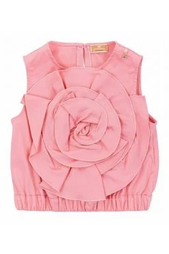 Elisabetta Franchi Blouses Blouse Pink