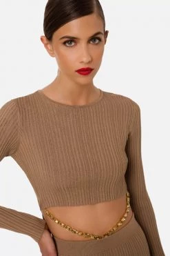 Elisabetta Franchi Casual Jurken Dress With Stone Accessory Brown -Elisabetta Franchi Winkel 494e72b552fcf83a968fe3022aaed08a