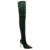 Elisabetta Franchi Hoge & Overknee Laarzen Over-knee Boots Green