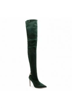 Elisabetta Franchi Hoge & Overknee Laarzen Over-knee Boots Green