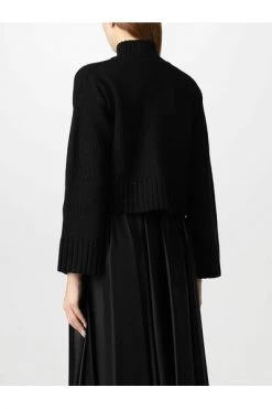 Elisabetta Franchi Coltruien Turtlenecks Black -Elisabetta Franchi Winkel 4cf1845570de3d2ca9e701113a31997a