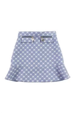 Elisabetta Franchi Rokken Efgo118-xe016 Miniskirts Blue -Elisabetta Franchi Winkel 50395e1d3be632fe3b705c970b3bccea