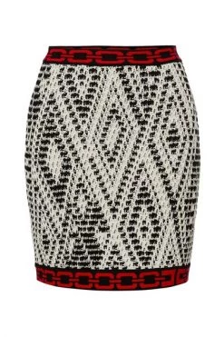 Elisabetta Franchi Korte Rokken Print Miniskirt Black