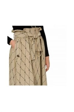 Elisabetta Franchi Maxi Rokken Skirt Beige -Elisabetta Franchi Winkel 59ee09b917dc0fe98d5ba8f7f750ef97