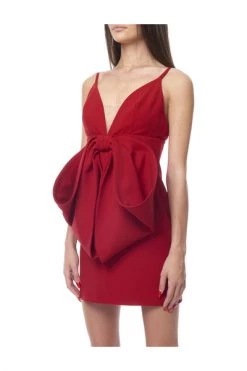 Elisabetta Franchi Feestjurken Dress Red