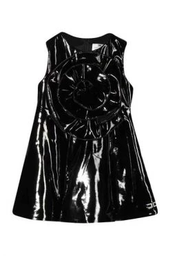 Elisabetta Franchi Jurken Dresses Black