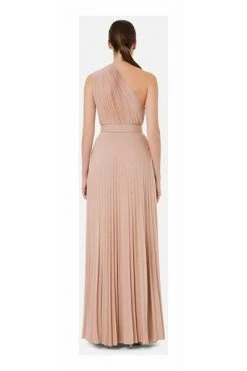 Elisabetta Franchi Maxi Jurken ABITI AB21722E2-181 Pink -Elisabetta Franchi Winkel 62cec18ed7b9965299f59b34c6091dce