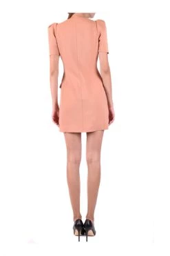 Elisabetta Franchi Jurken Dress Pink -Elisabetta Franchi Winkel 632934d4d9fc54f5b0f97c955c3b98ae