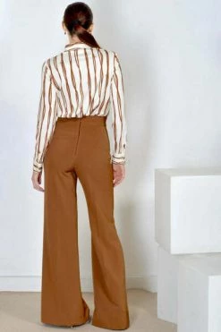 Elisabetta Franchi Wijde Broeken Trousers Brown