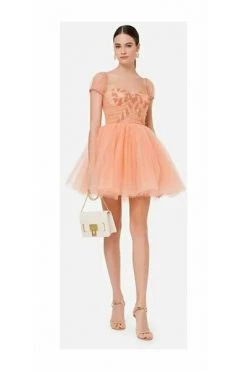 Elisabetta Franchi Feestjurken Party Dresses Pink 6 Elisabetta Franchi Feestjurken Party Dresses Pink -Elisabetta Franchi Winkel 7c83e4582c50ad1aa522c653c19f0a16