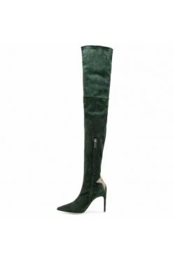 Elisabetta Franchi Hoge & Overknee Laarzen Over-knee Boots Green -Elisabetta Franchi Winkel 826162ac668c0e3b71414292d150b79d