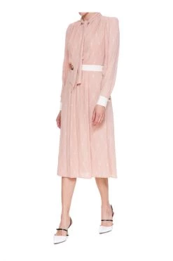 Elisabetta Franchi Casual Jurken Shirt Dress With Scarf Collar Pink -Elisabetta Franchi Winkel 8fc091f1ed23b93dd60ce4e558e35aad