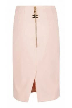 Elisabetta Franchi Kokerrokken GO00521E2C74 SKIRT Pink