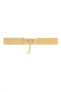 Elisabetta Franchi Riemen Accessories Yellow