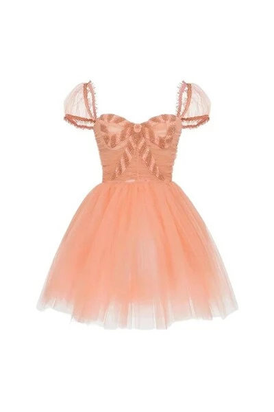 Elisabetta Franchi Feestjurken Party Dresses Pink 2 Elisabetta Franchi Feestjurken Party Dresses Pink - Afbeelding 2