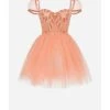 Elisabetta Franchi Jurken Dolly Dress Pink