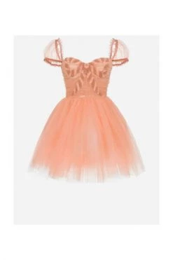 Elisabetta Franchi Jurken Dolly Dress Pink