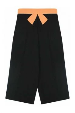 Elisabetta Franchi Wijde Broeken Trousers Black
