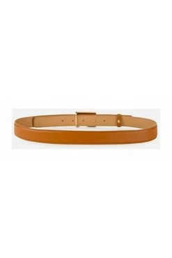 Elisabetta Franchi Riemen Belts Brown