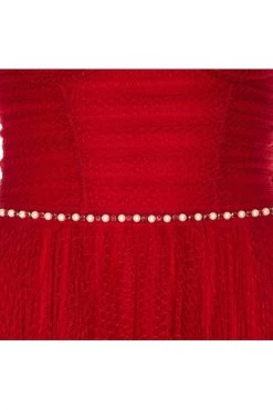 Feestjurken Elisabetta Franchi Dresses Red Red