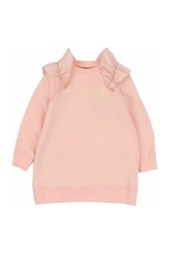 Elisabetta Franchi Jurken Dress Pink