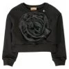 Elisabetta Franchi Sweaters Sweatshirt Black