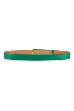 Elisabetta Franchi Riemen Belts Green