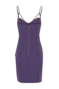 Elisabetta Franchi Casual Jurken Rhinestone Mini Dress Purple