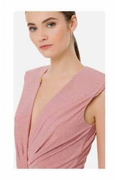 Elisabetta Franchi Jurken Red Carpet Dress With Lurex Drape Pink -Elisabetta Franchi Winkel d698793121f4e54c6cb21bd0072ebcd7