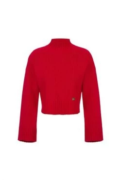 Elisabetta Franchi Coltruien Turtlenecks Red 7 Elisabetta Franchi Coltruien Turtlenecks Red -Elisabetta Franchi Winkel d74626d79306061b5303fb7a0e575829
