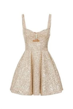Elisabetta Franchi Feestjurken Party Dresses Beige -Elisabetta Franchi Winkel d94e2fd588662dc424a7b6233da61125